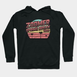 Zoomer Spring Break Hoodie